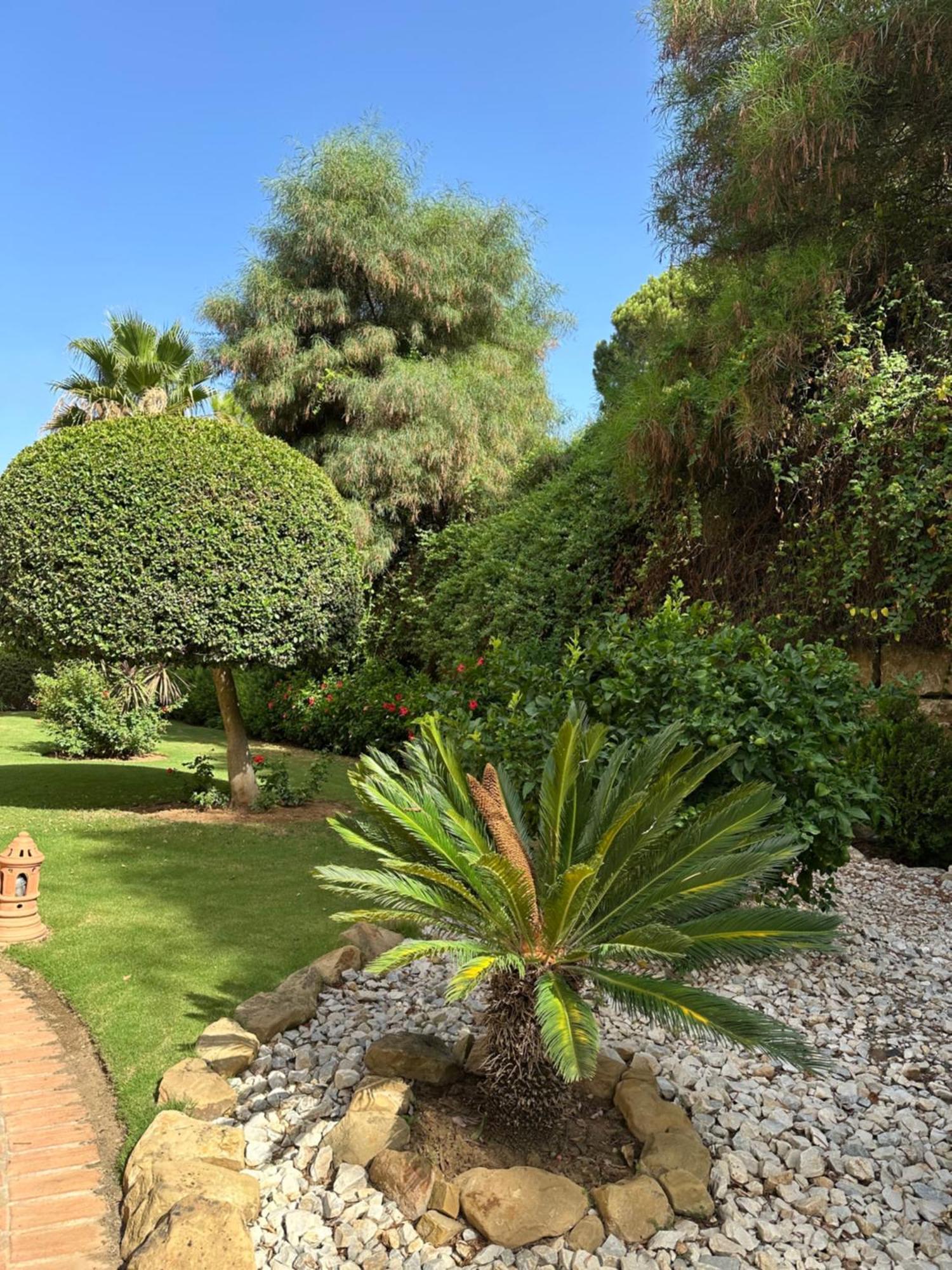 Los Arqueros Las Jacarandas ベナアビス エクステリア 写真
