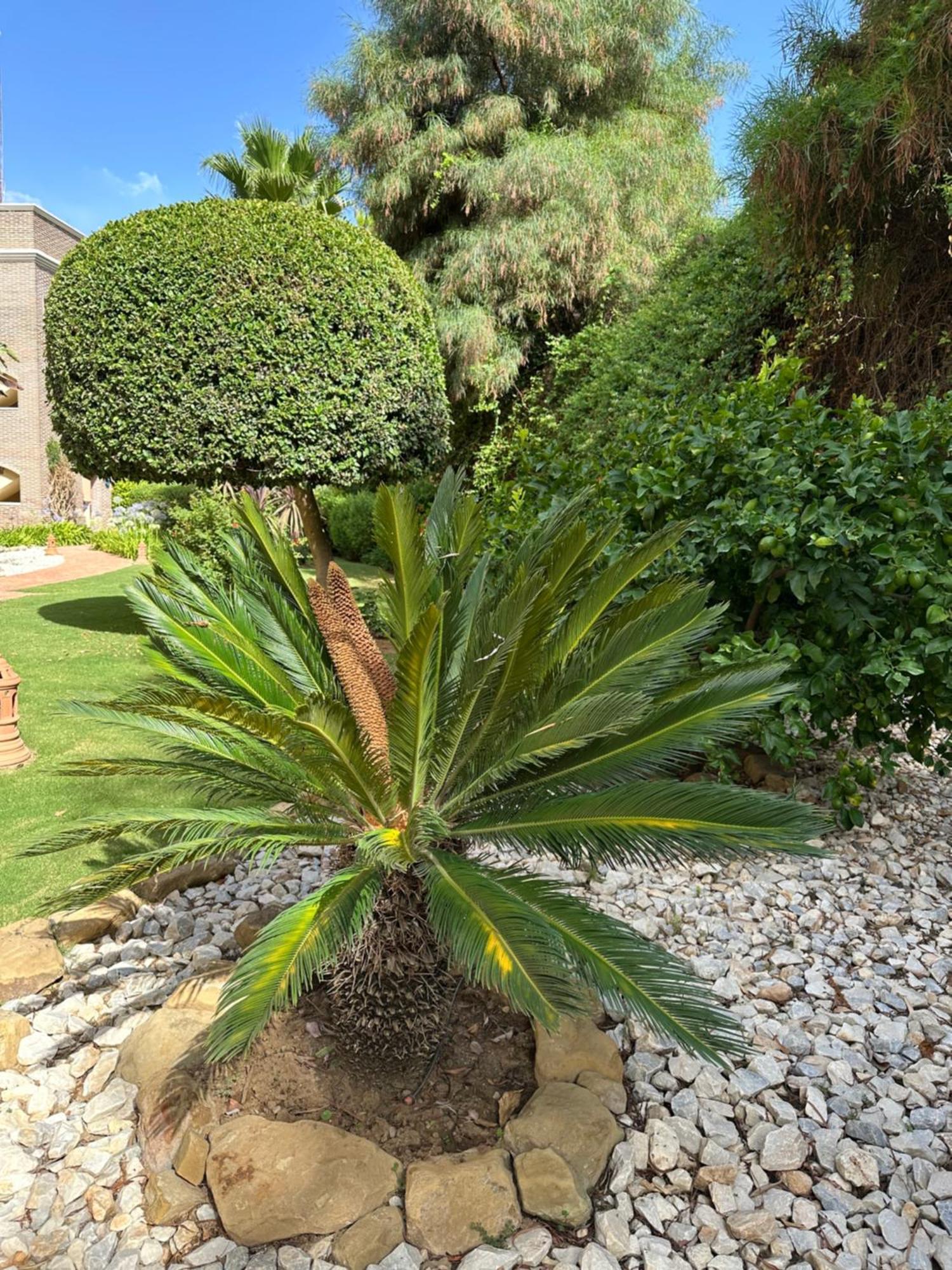 Los Arqueros Las Jacarandas ベナアビス エクステリア 写真